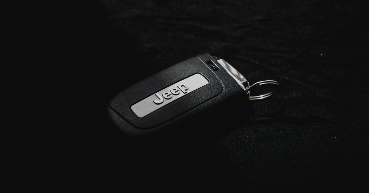 Ford car key fob — מנעולן בפתח תקווה